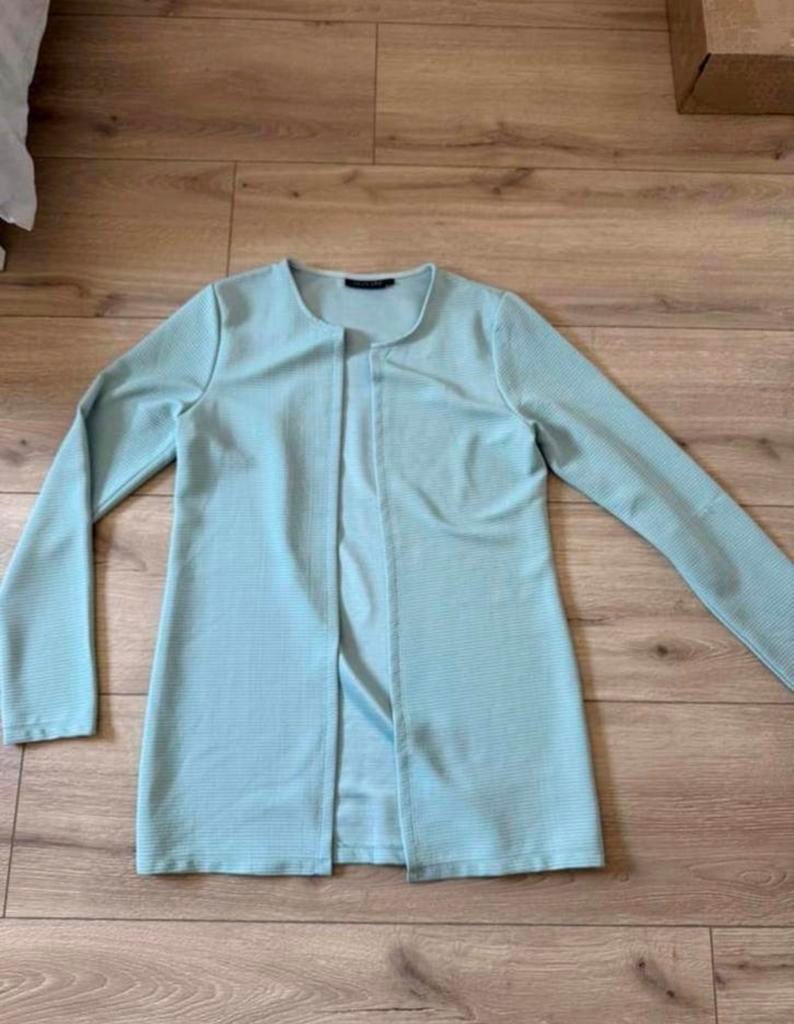 Wibra mintgroen dames vest maat L, Ophalen of Verzenden, Zo goed als nieuw