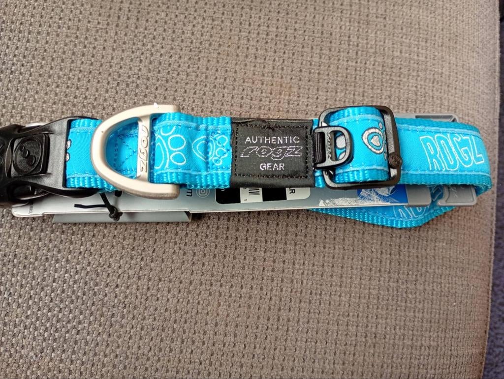 Nieuwe halsband, Ophalen of Verzenden, Nieuw