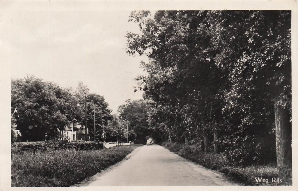 703-372-025 Weg Rijs, Verzenden, Voor 1920, Friesland