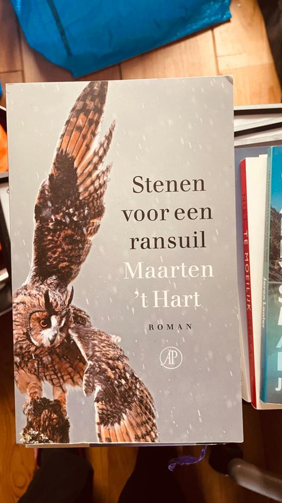 Stenen voor een ransuil van Maarten ‘t Hart, Ophalen of Verzenden, Zo goed als nieuw, Mode algemeen