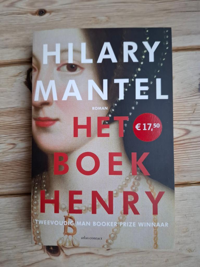 Hilary Mantel - Het boek Henry (goede staat), Boeken, Ophalen of Verzenden, Zo goed als nieuw, Hilary Mantel