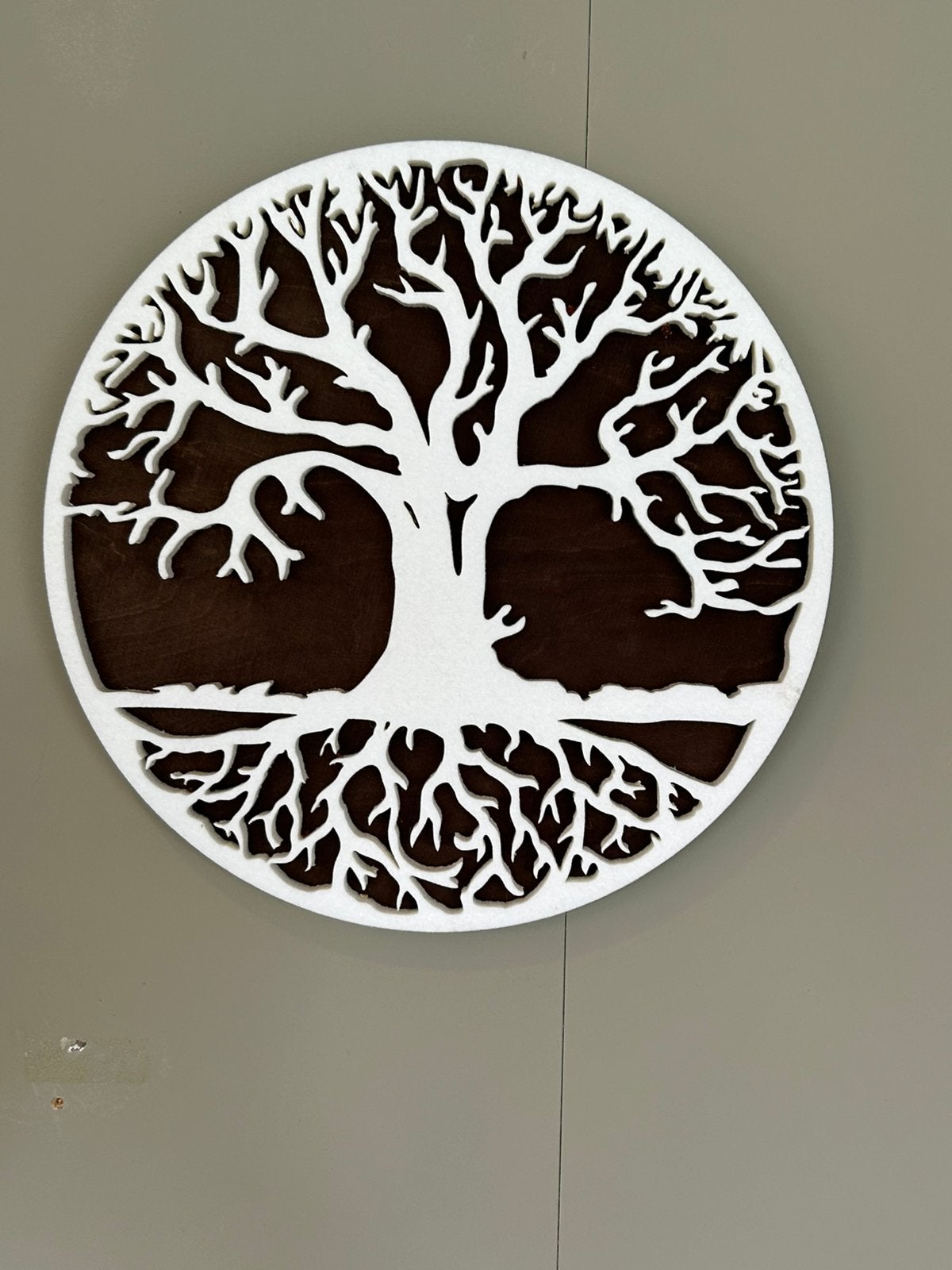 Leuke levensboom 30 cm doorsnede, Ophalen of Verzenden, Nieuw
