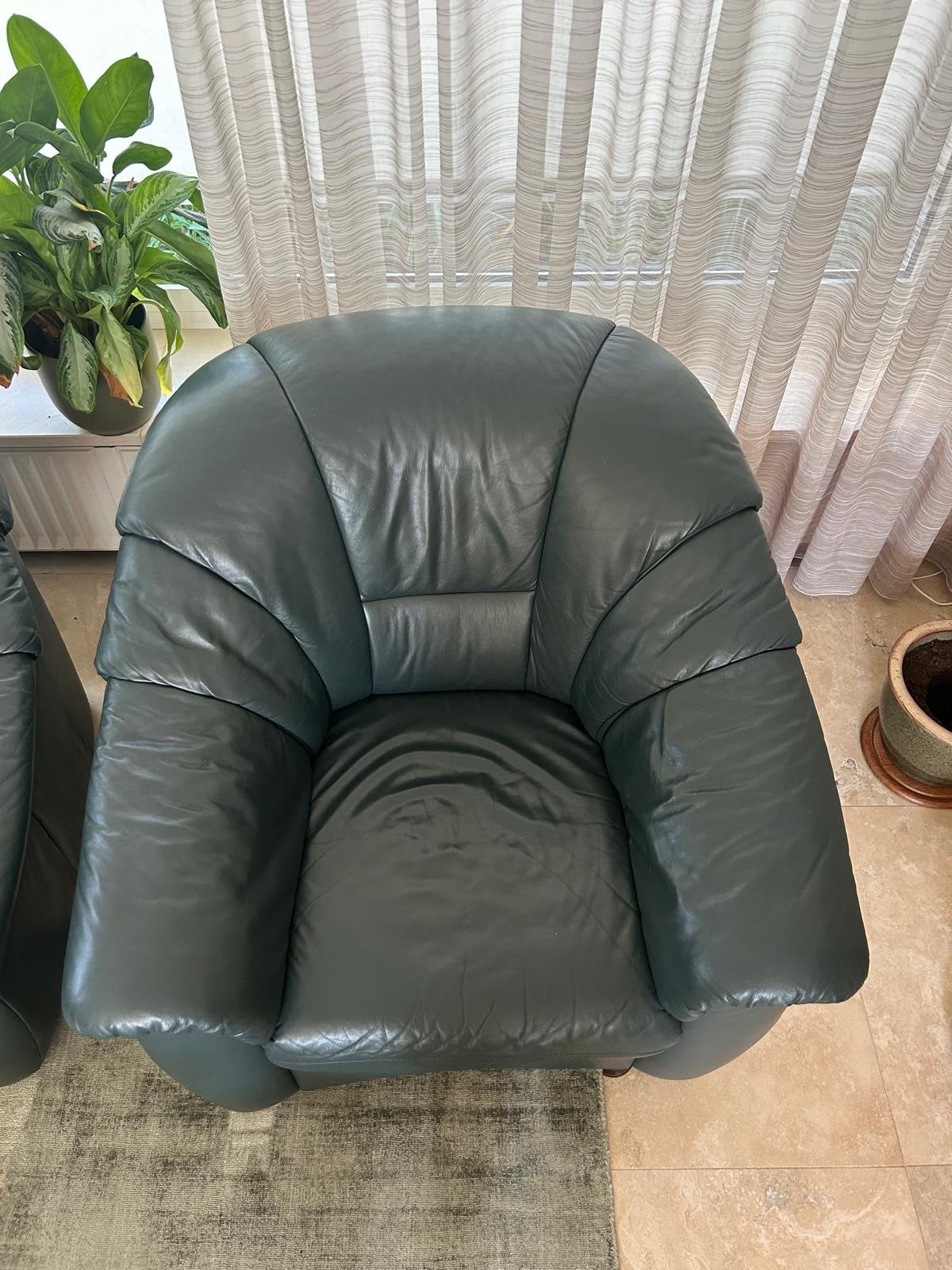 Comfortabele leren fauteuils (set van 2), Ophalen, Gebruikt, Leer, 75 tot 100 cm