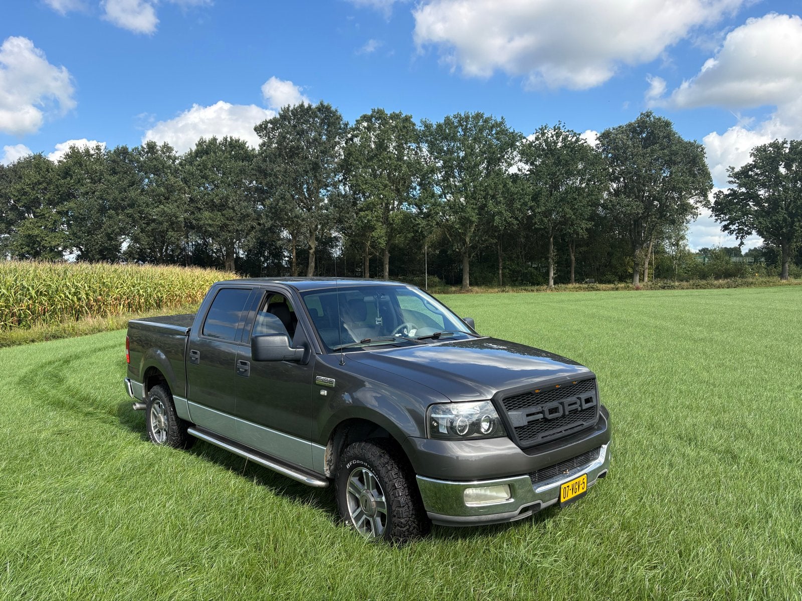 Ford F150 2004, Auto's, 5408 cc, 650 kg, Particulier, 6 stoelen