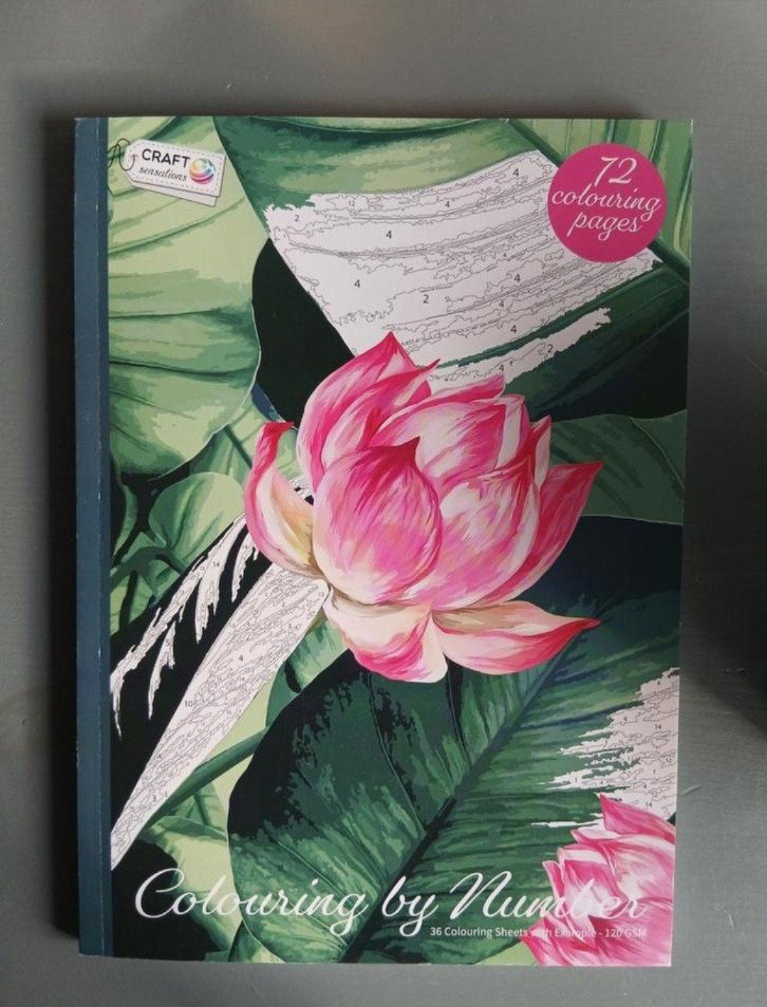 Colouring by number - craft sensation, Ophalen of Verzenden, Nieuw