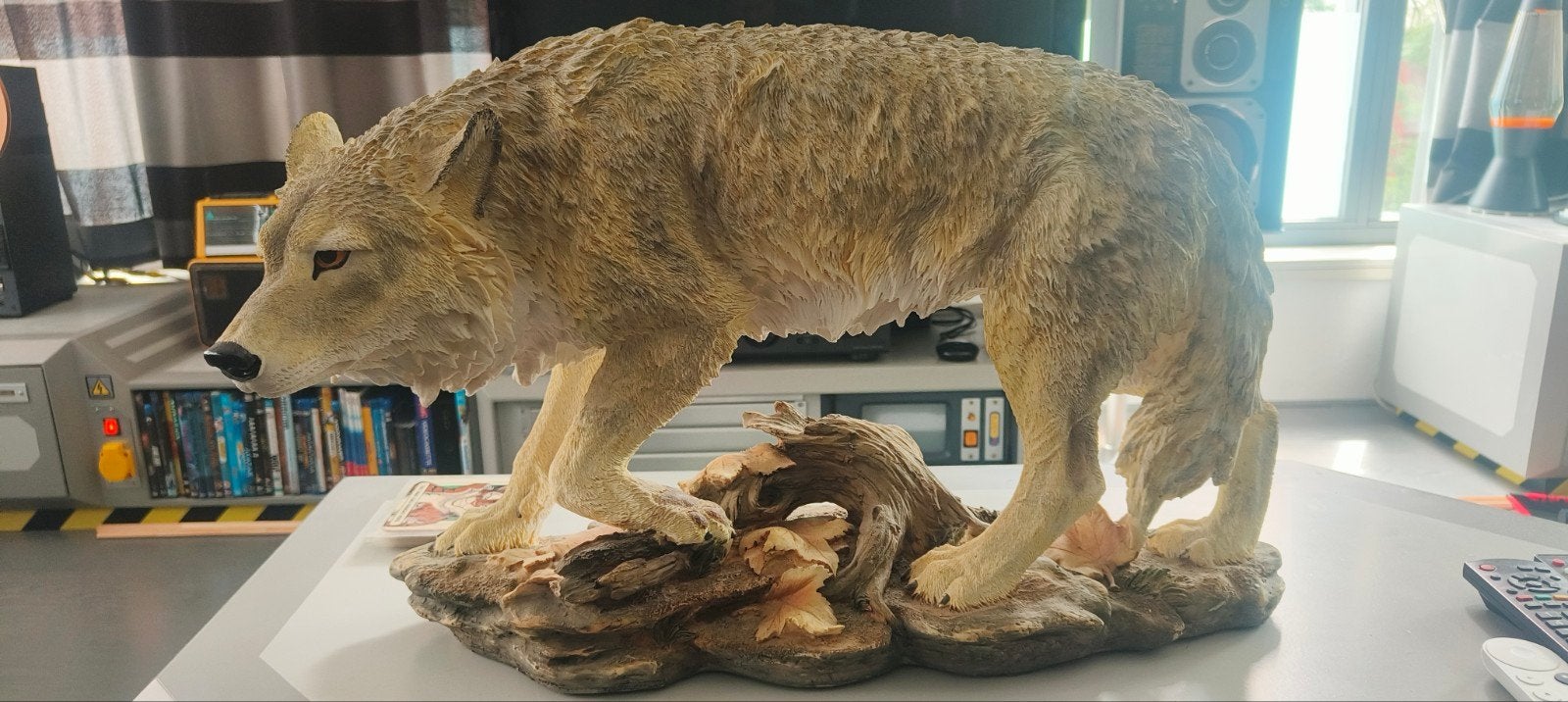 Gedetailleerd Wolf Beeld - 50 cm lang, 37 cm hoog, Ophalen of Verzenden