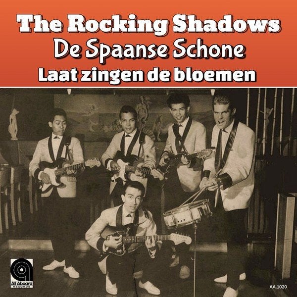 Nieuwpersing vinylsingle rocking shadows '23 gezocht, Ophalen of Verzenden, Zo goed als nieuw, Overige formaten, Levenslied of Smartlap