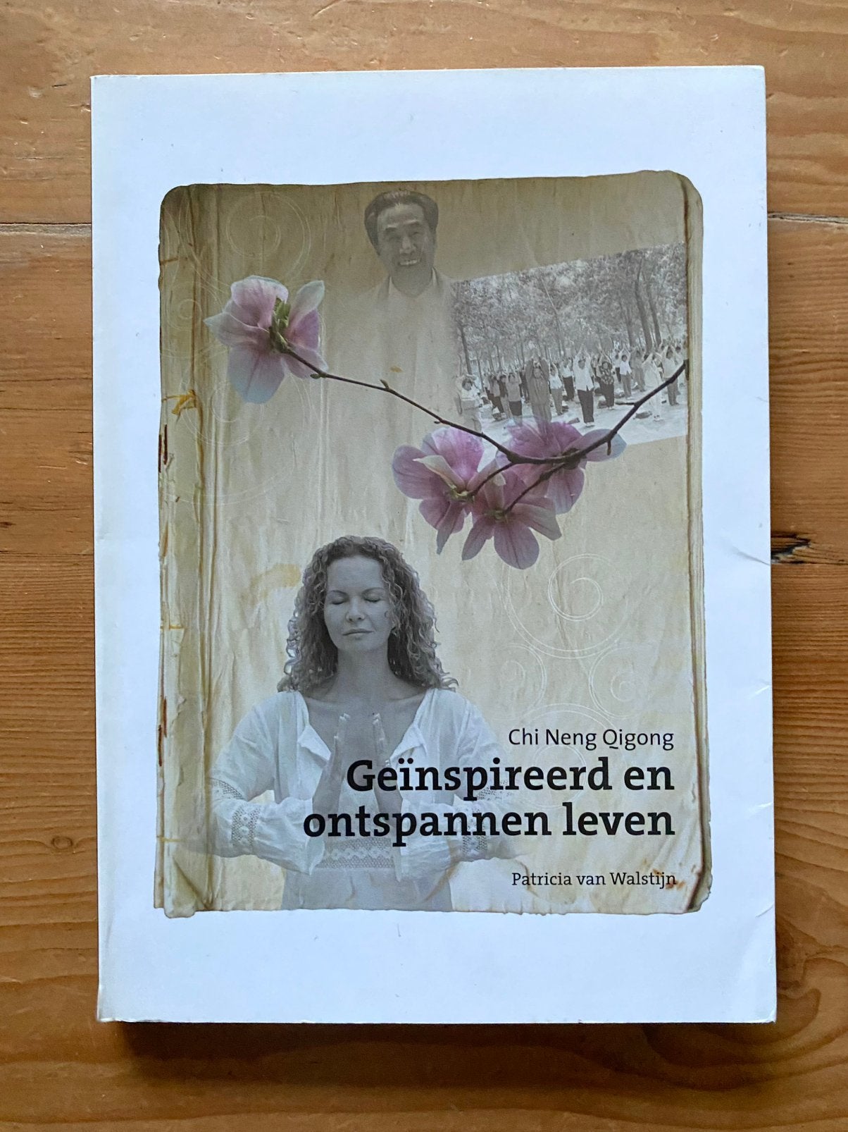 Chi Neng Qigong - Geïnspireerd en ontspannen leven, Boeken, Ophalen of Verzenden, Gelezen, Overige onderwerpen, Instructieboek