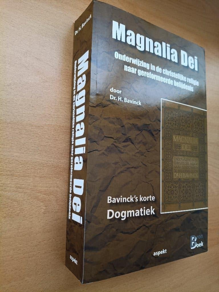 Theologische boeken (Dogmatiek), Boeken, Ophalen of Verzenden, Gelezen, Christendom | Protestants
