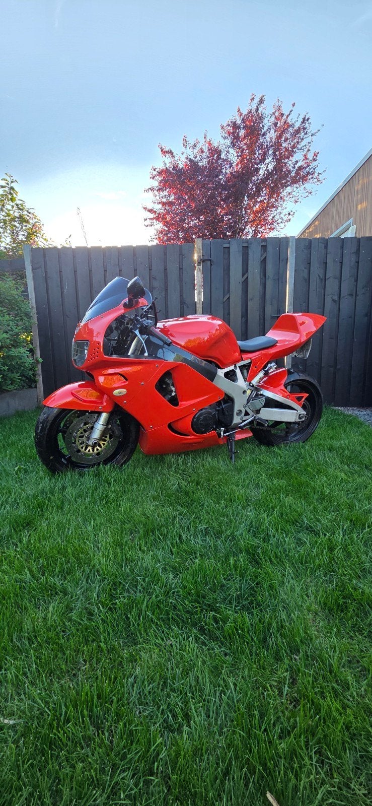 Honda cbr Fireblade 900RR uit 1997 - Klassieke Supersport, Motoren, Motoren | Honda, Particulier