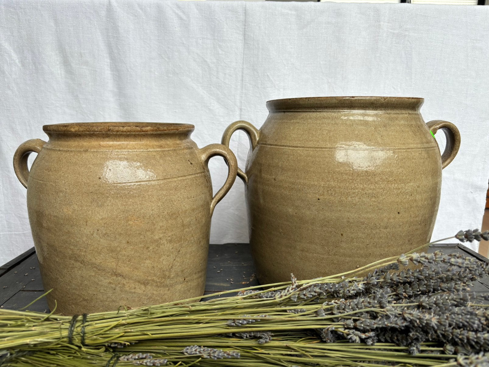 Grote beige grespotten uit Frankrijk, Ophalen
