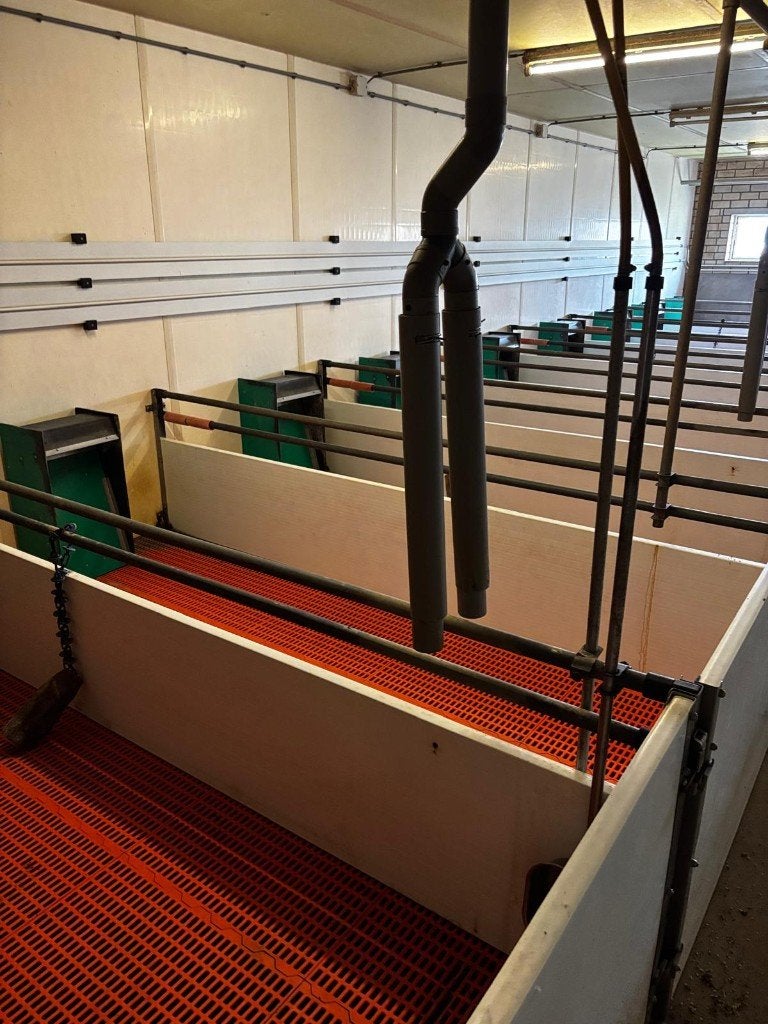 Complete stalinrichting varkens, Ophalen of Verzenden, Veehouderij, Overige typen