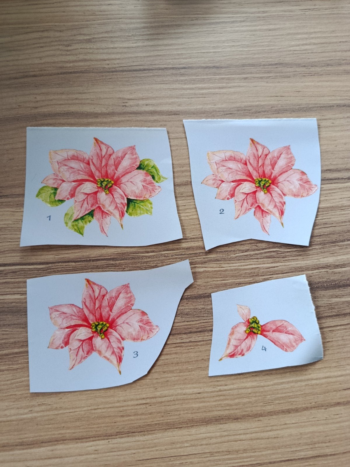 3D knipveltjes bloem,, Ophalen of Verzenden, Nieuw, Overige thema's, Overige typen