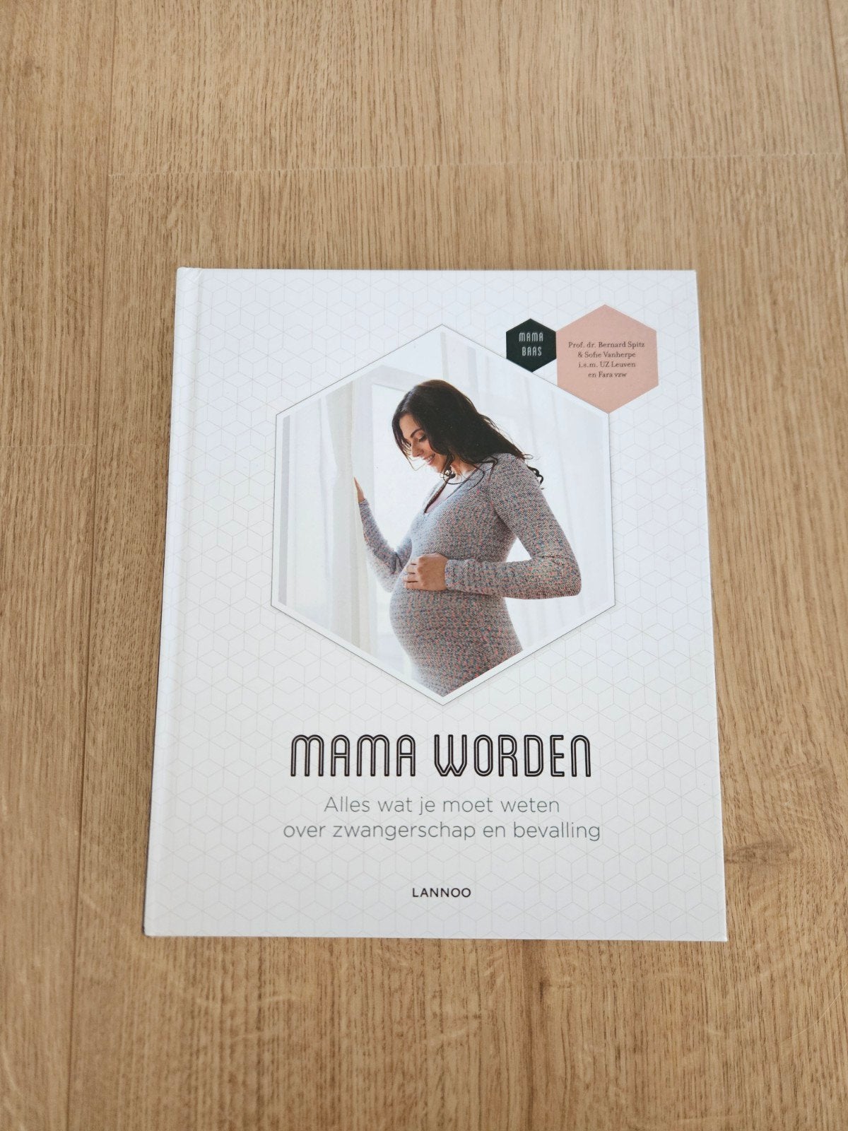 Mama Worden: Alles over zwangerschap en bevalling, Ophalen, Zo goed als nieuw, Zwangerschap en Bevalling, Prof. dr. Bernard Spitz & Mama Baas
