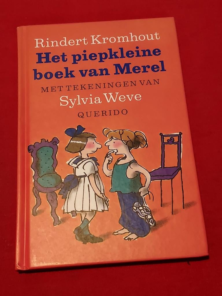 GESIGNEERD Het piepkleine boek van Merel. R. Kromhout., Boeken, Ophalen of Verzenden, Gelezen, Fictie algemeen