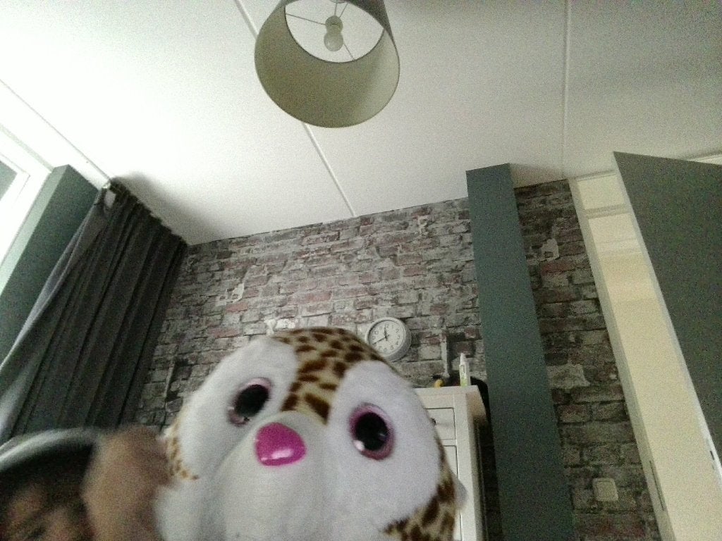 een knuffel, Ophalen, Gebruikt, Hond, Middelgroot (20 tot 80 cm)