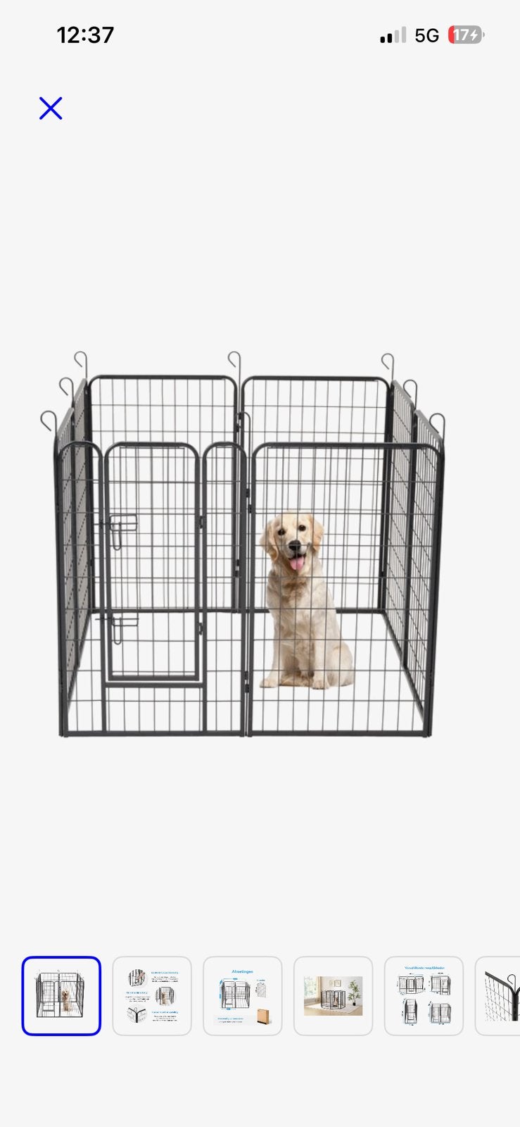 Nieuwe puppyren, Dieren en Toebehoren, Ophalen, Nieuw, 110 cm of meer, Minder dan 65 cm