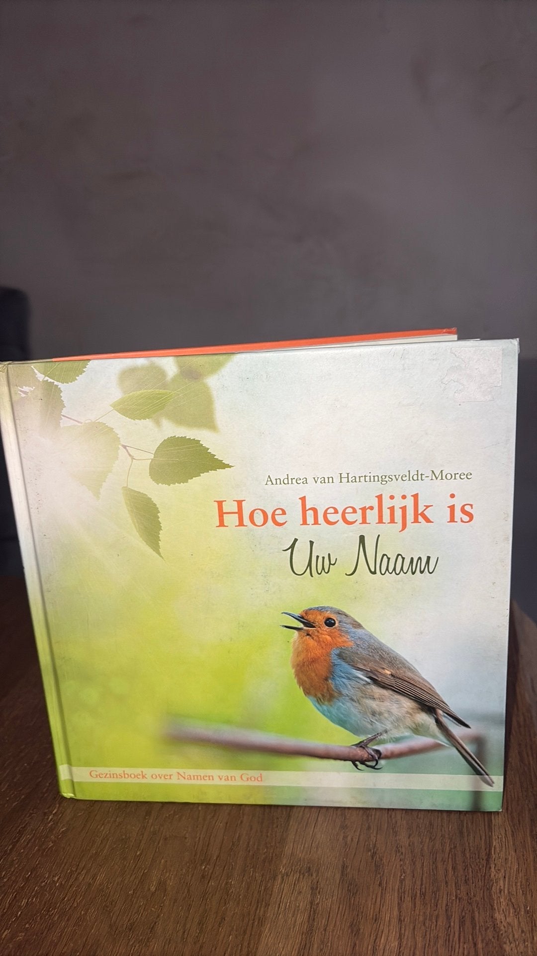 Andrea Hartingsveldt-Moree - Hoe heerlijk is Uw Naam, Boeken, Gelezen, Non-fictie, Ophalen of Verzenden, Andrea Hartingsveldt-Moree