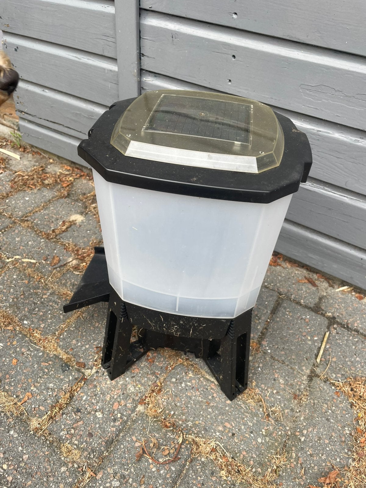 Automatische visvoer machine op zonnepaneel, Karper of Koi