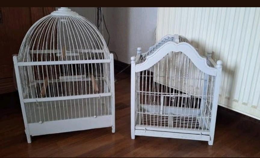 Antieke vogelkooien, Antiek en Kunst, Ophalen
