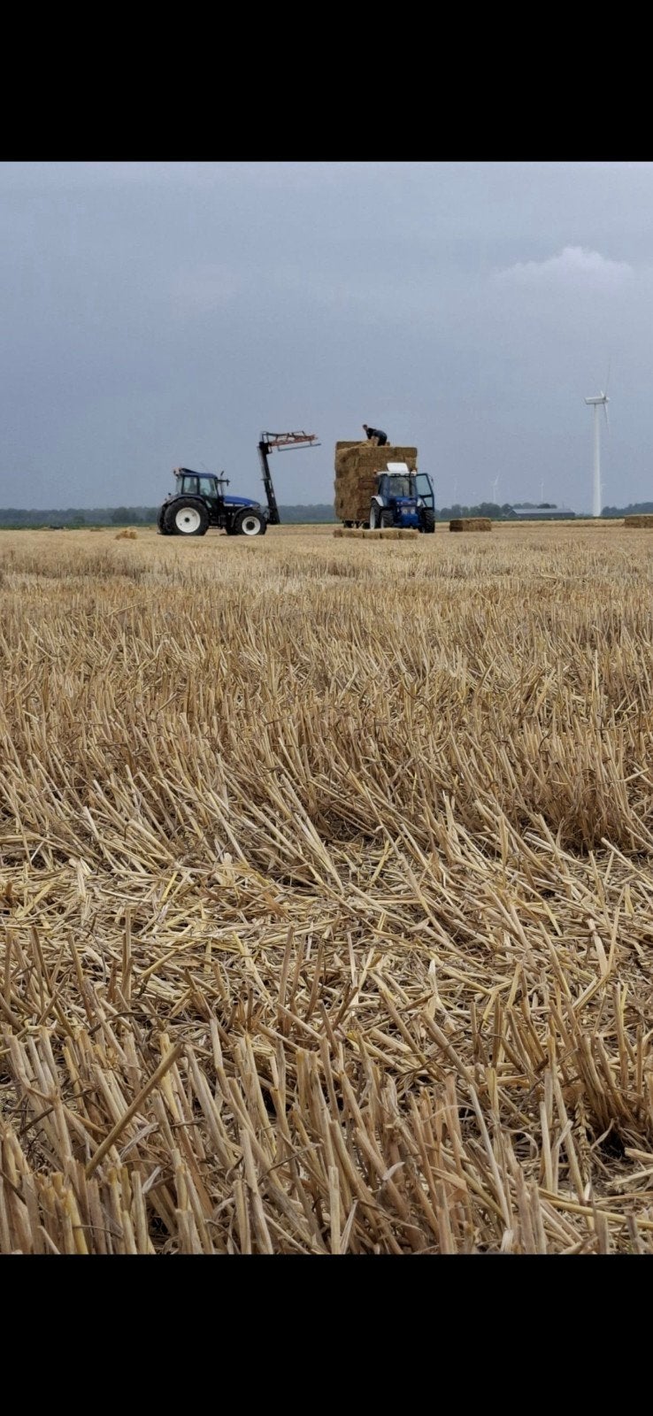 Te koop kleine balen stro vanaf het land, Dieren en Toebehoren, Ophalen of Verzenden