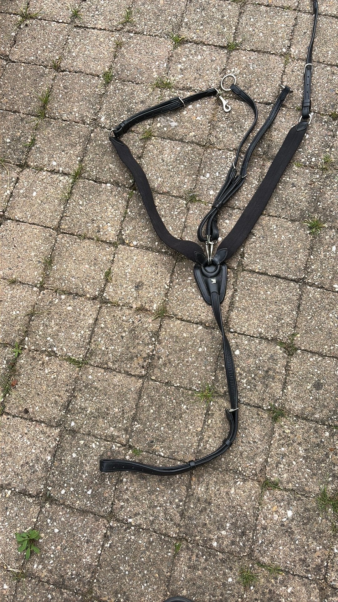 Borst tuig paard, Overige disciplines, Nieuw, Ophalen of Verzenden, Zwart