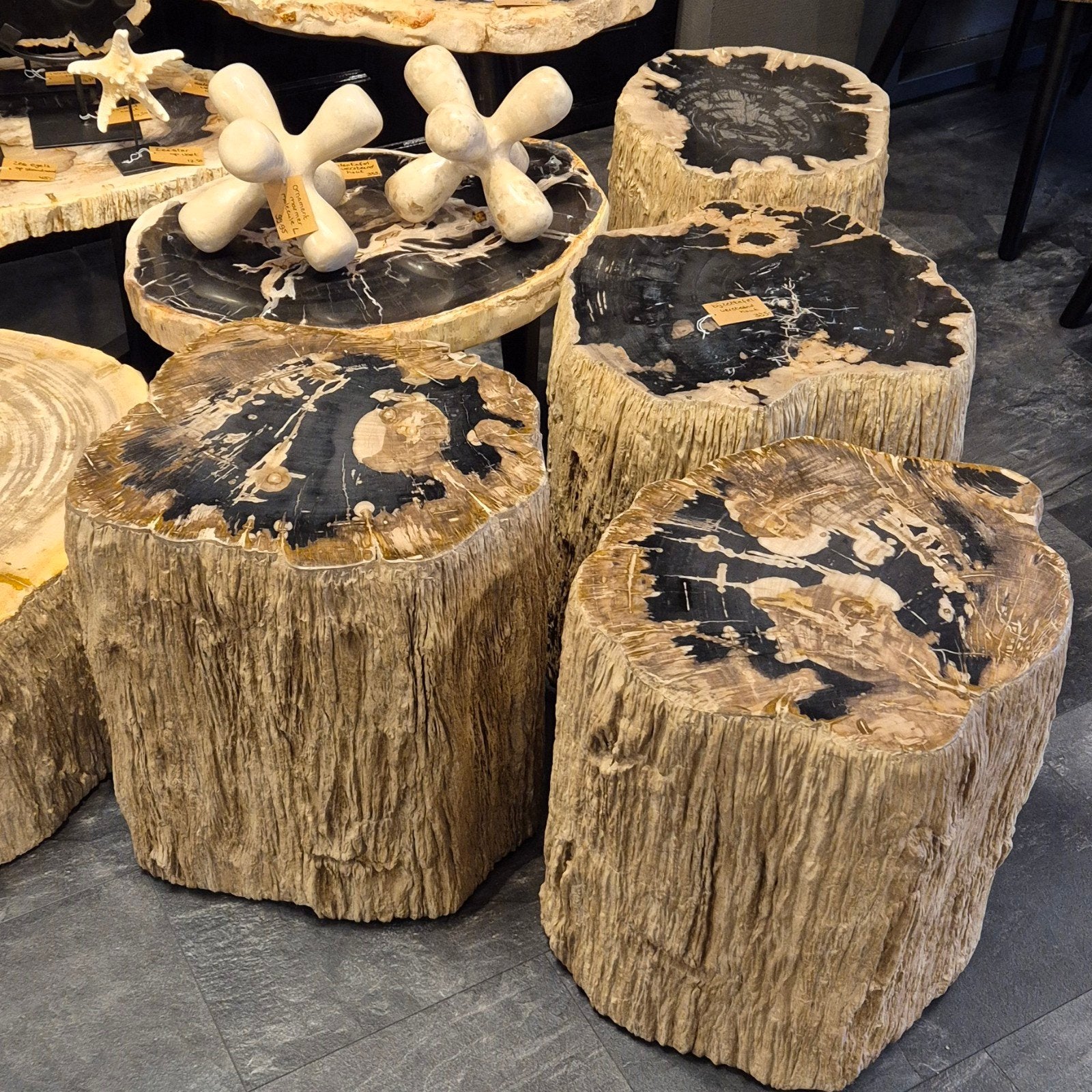 Versteend houten bijzettafel salontafel petrified wood, Minder dan 45 cm, Minder dan 55 cm, Aalsmeer, Info@ptmd.nl