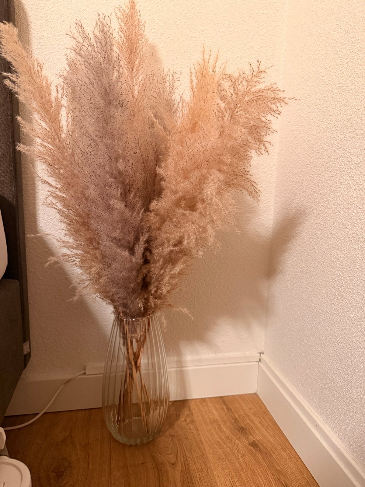 Glazen vaas met pampas pluimen, Transparant, Ophalen of Verzenden, Geschikt voor droogbloemen, Glas