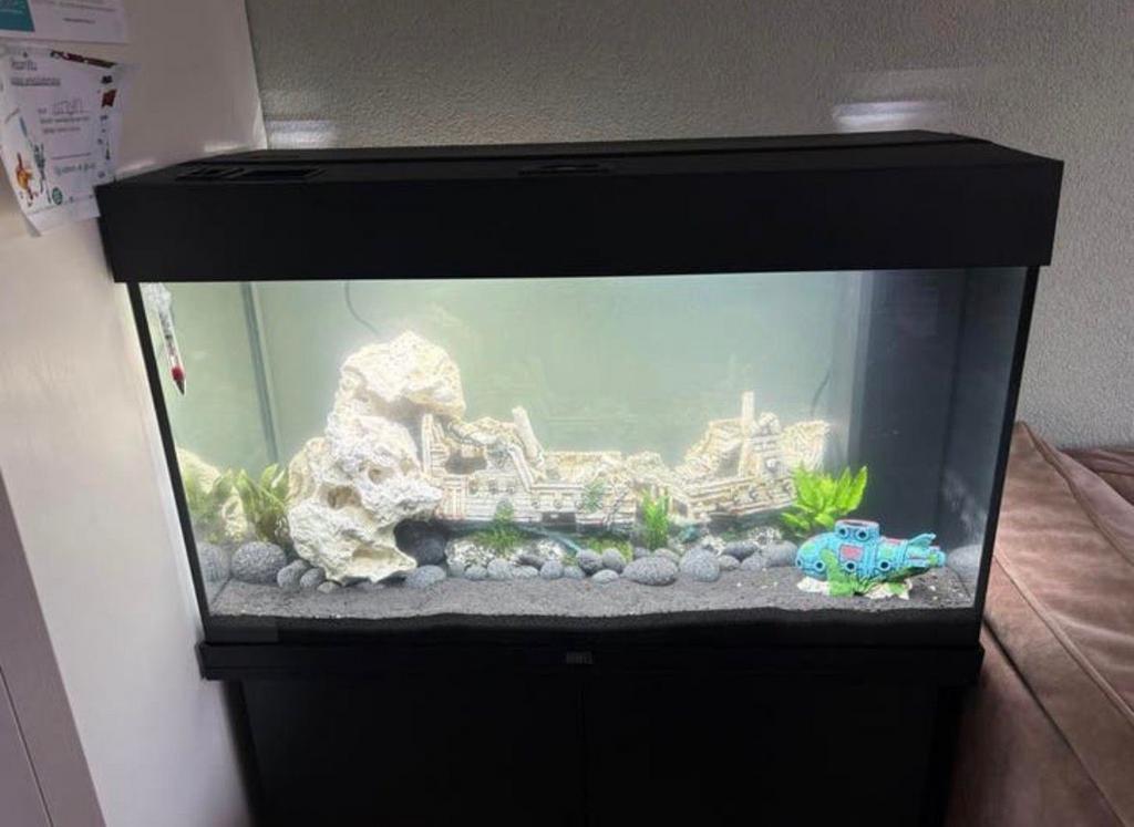 Juwel Rio 125, Ophalen, Zo goed als nieuw, Leeg aquarium