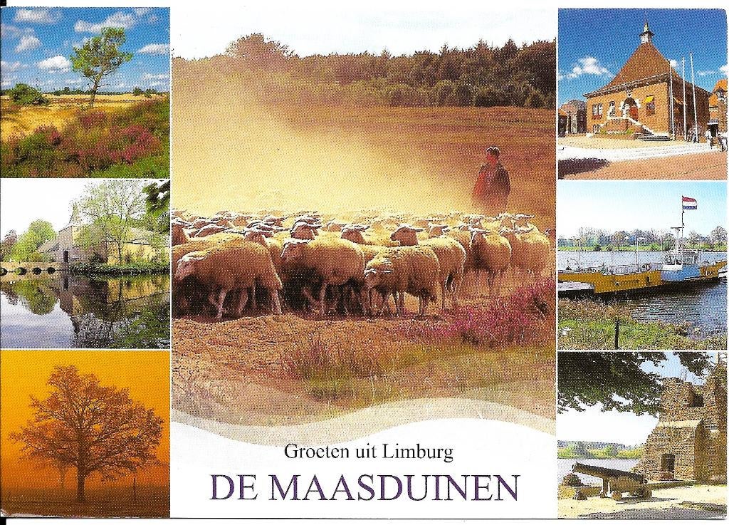 Ansichtkaart	De Maasduinen	7-luik, Verzenden, 1980 tot heden, Gelopen, Limburg