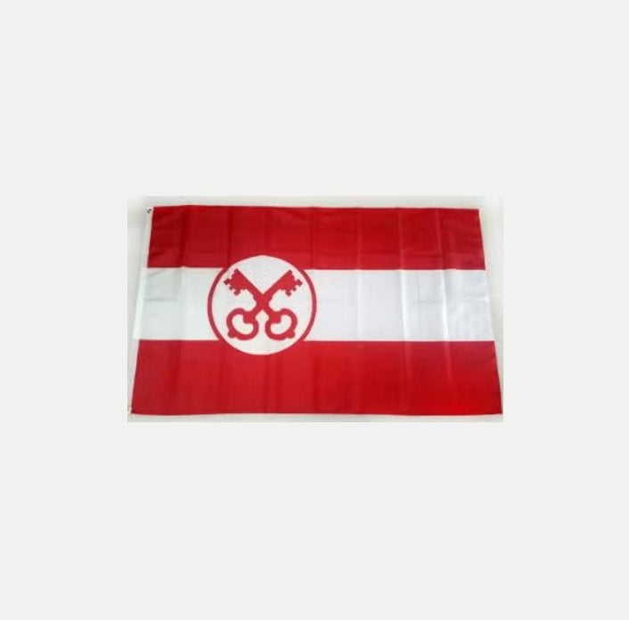 Grote vlag Leiden stadsvlag (150x90cm), Ophalen of Verzenden, Nieuw