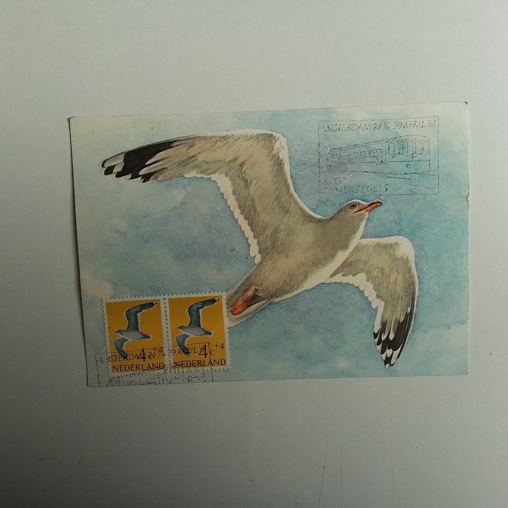 Zilvermeeuw, Ophalen of Verzenden, Ongelopen, Vogel