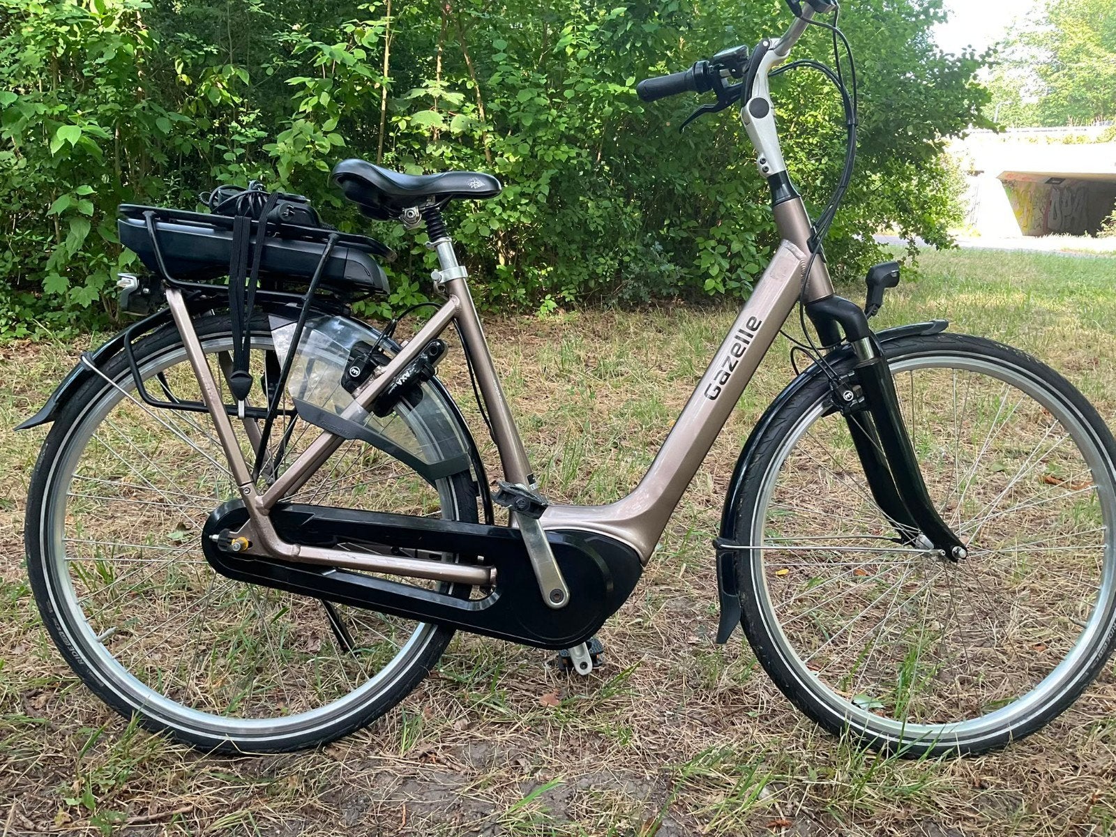 Gazelle Orange C7 electrische damesfiets, Ophalen of Verzenden