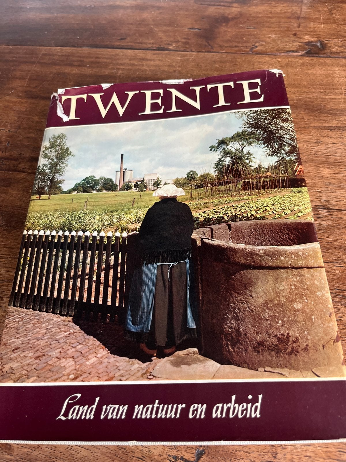 Twente: Land van natuur en arbeid - Boek, Ophalen of Verzenden, Gelezen, Overijssel