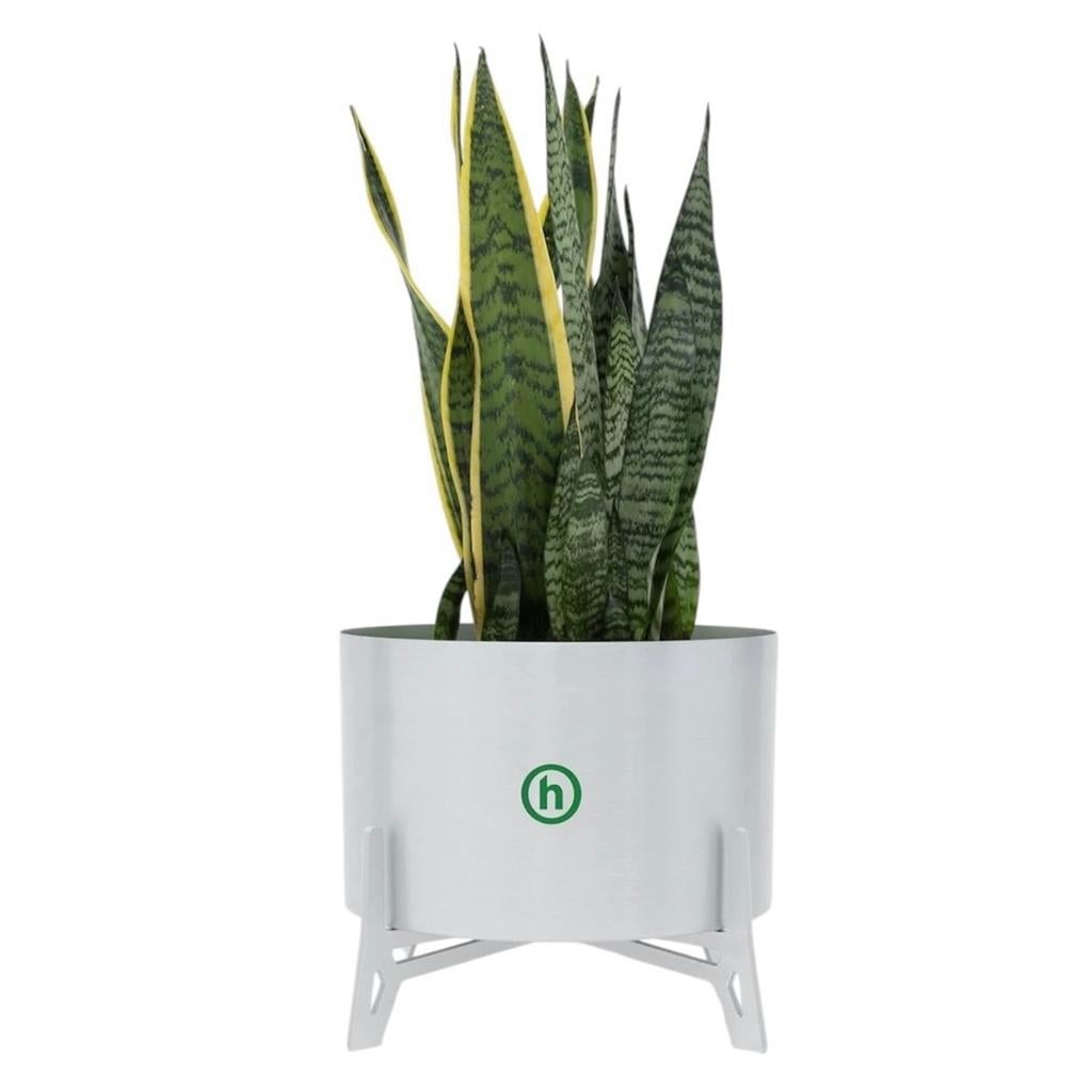 Hidden NY Plantenbak bloempot zilver aluminium, Overige materialen, Rond, Nieuw, Ophalen of Verzenden