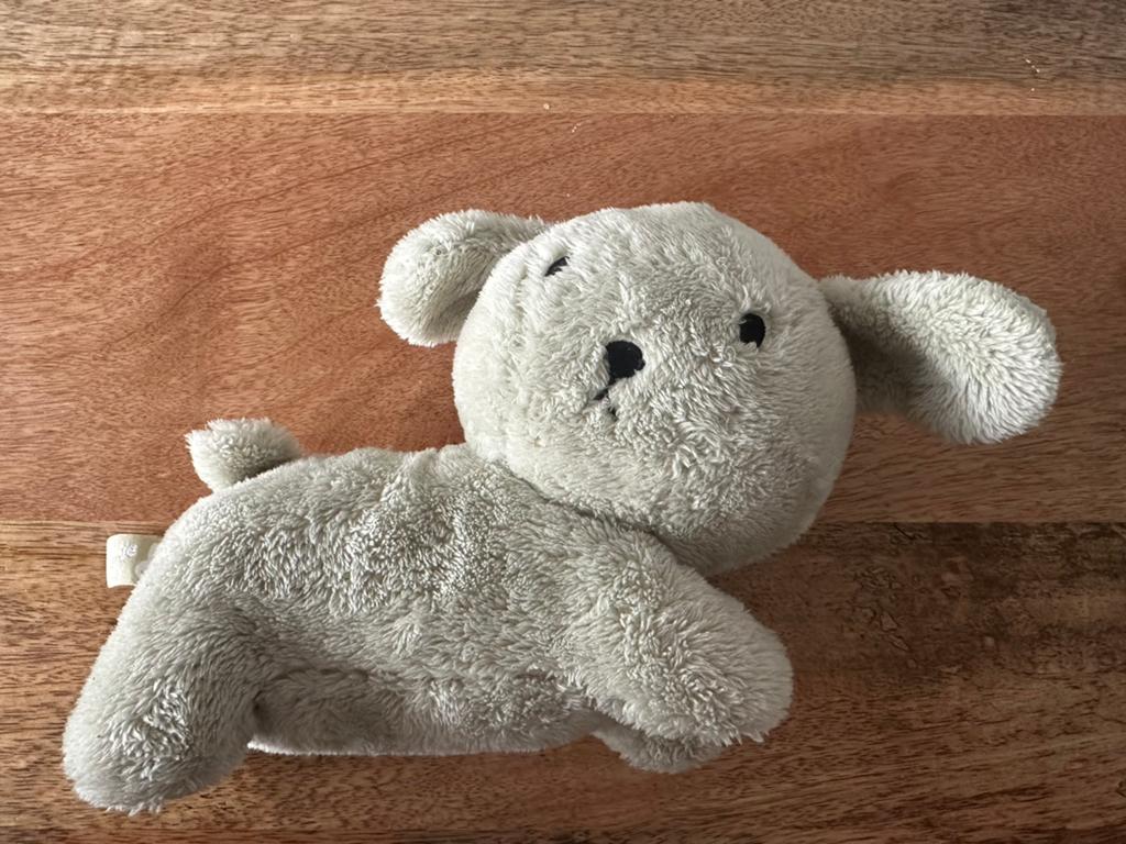Knuffelhondje van Nijntje, Nijntje, Ophalen of Verzenden, Nieuw, Hond
