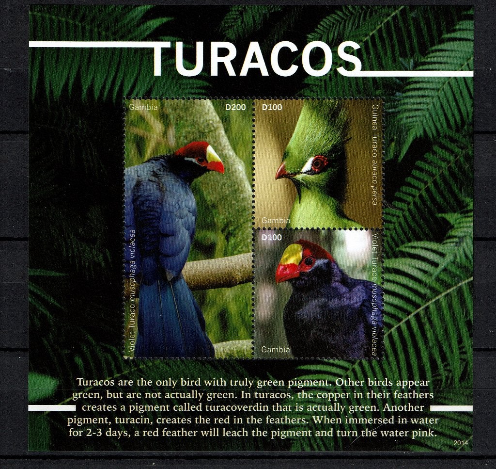 gambia 2020 pf blok toerako touraco vogels birds, Ophalen of Verzenden, Postfris, Dier of Natuur