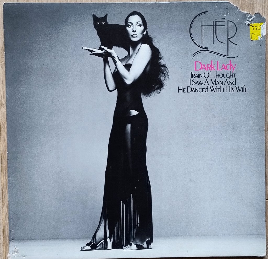 Cher LP - Dark Lady, LP, Rock, Gebruikt, Ophalen of Verzenden