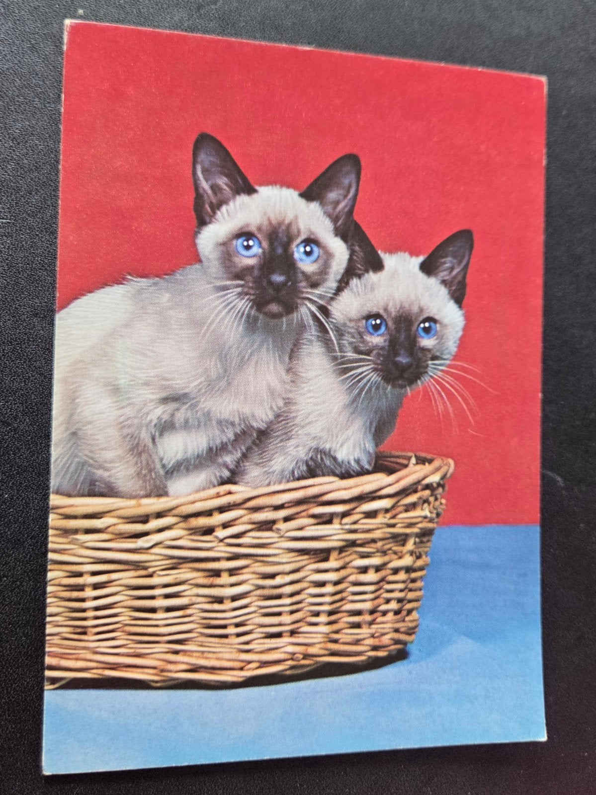 Twee Siamese Katjes in Mand, Ophalen of Verzenden, 1960 tot 1980, Ongelopen, Hond of Kat