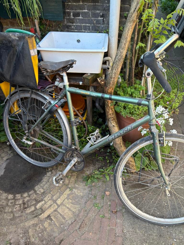 Vintage giant, Ophalen, Gebruikt, Giant
