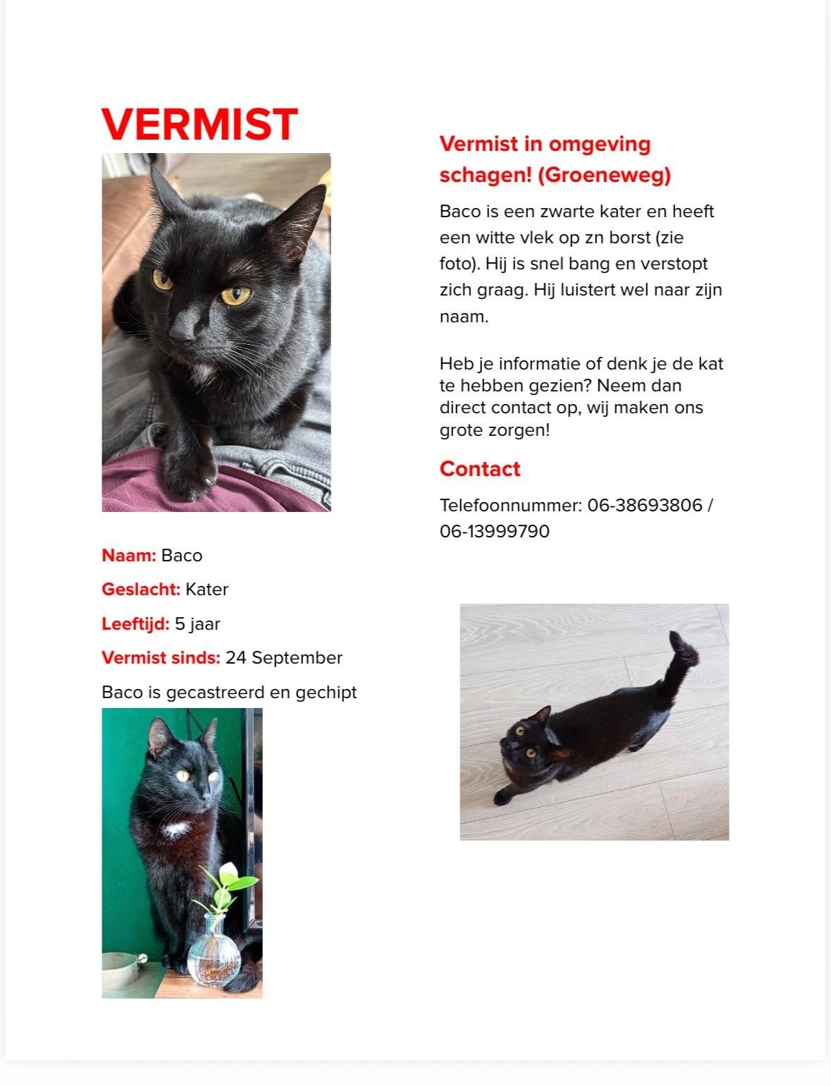 vermist! omgeving schagen, Dieren en Toebehoren