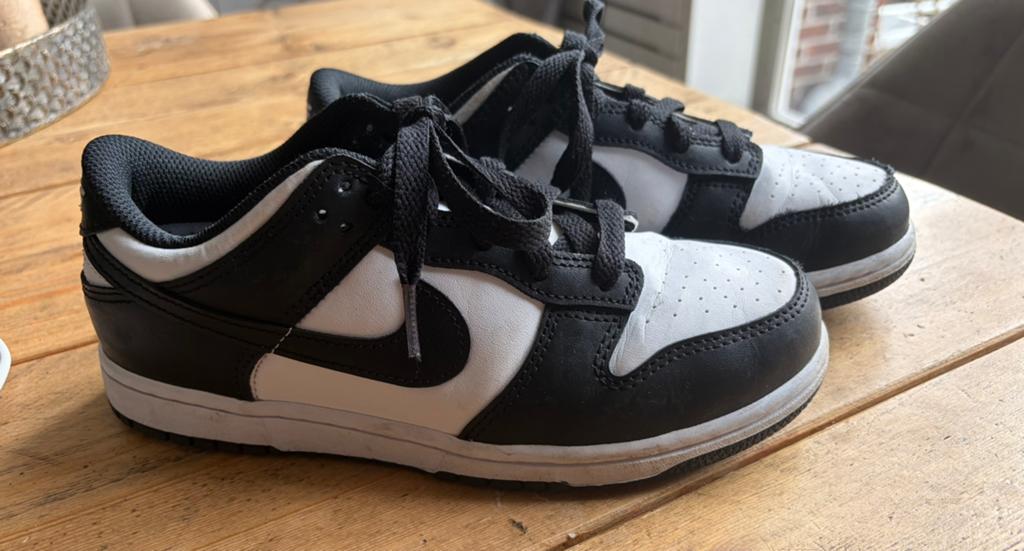 Nike low dunk mt 35, Ophalen, Zo goed als nieuw, Jongen of Meisje