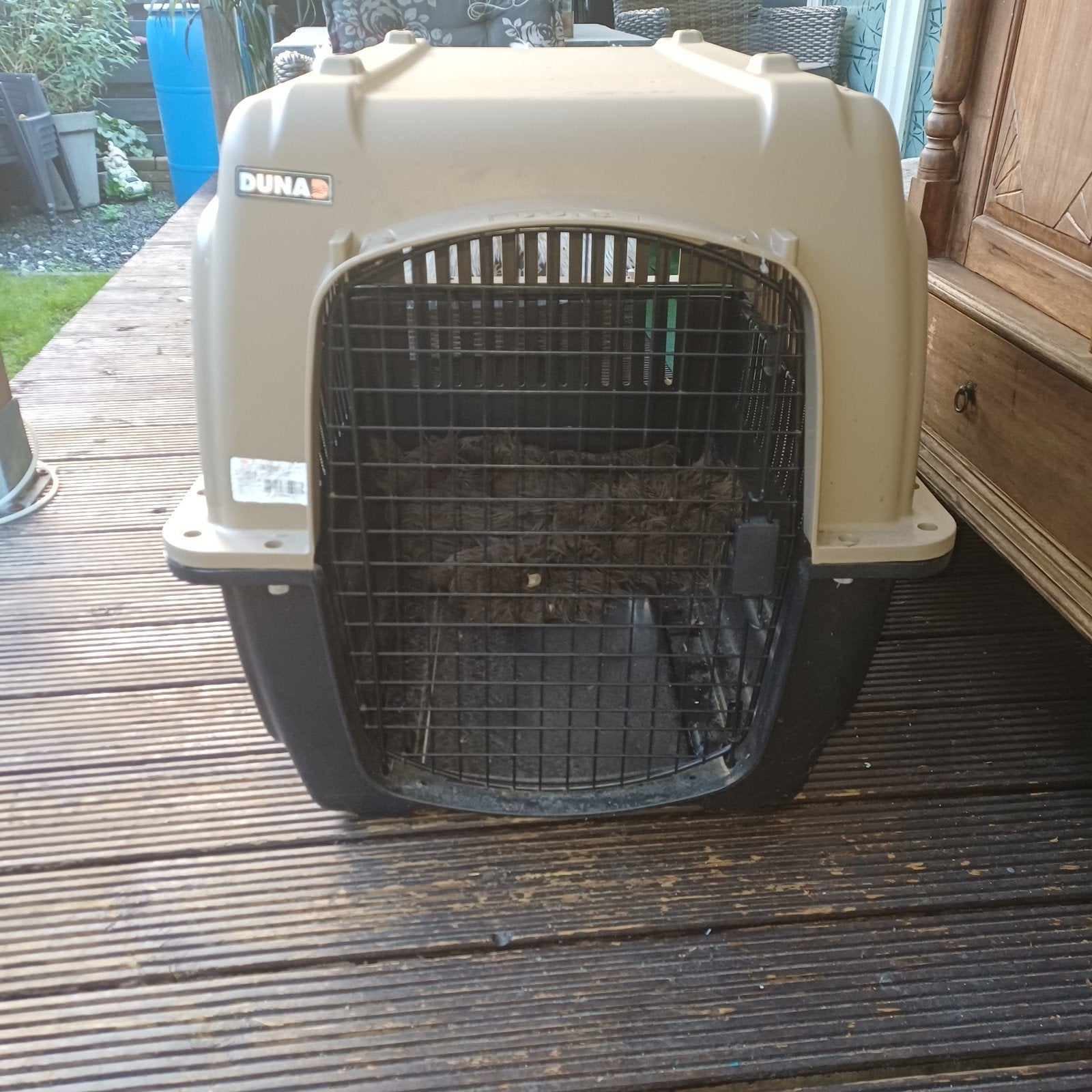 reis kist hond zgan. 1x gebruikt, Ophalen of Verzenden, Zo goed als nieuw