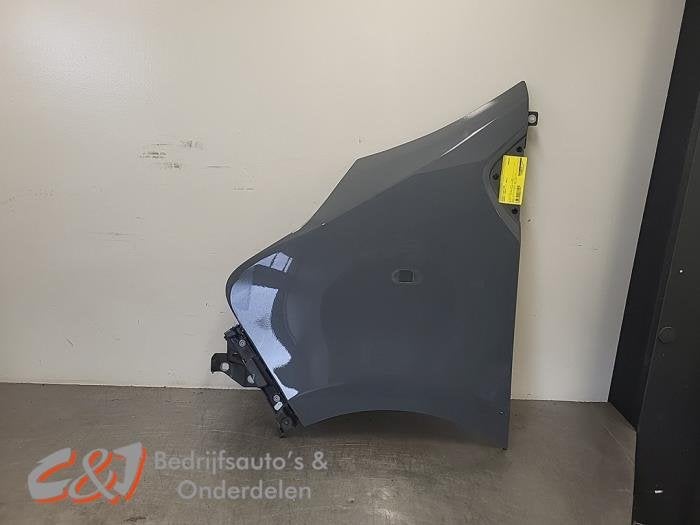 Scherm links-voor van een Renault Trafic (DVKPN), Gebruikt, -, Renault, -