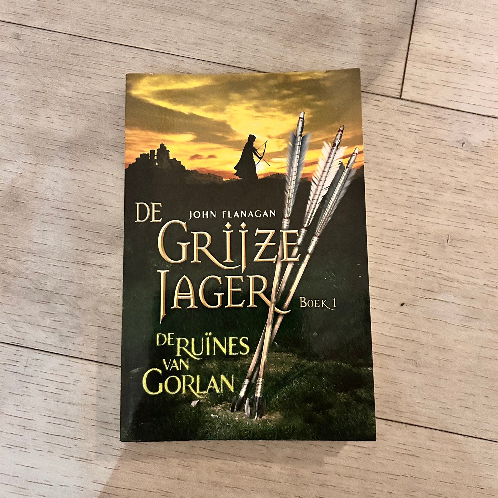 De Grijze Jager 1 - De Ruïnes van Gorlan, Ophalen of Verzenden, Gelezen