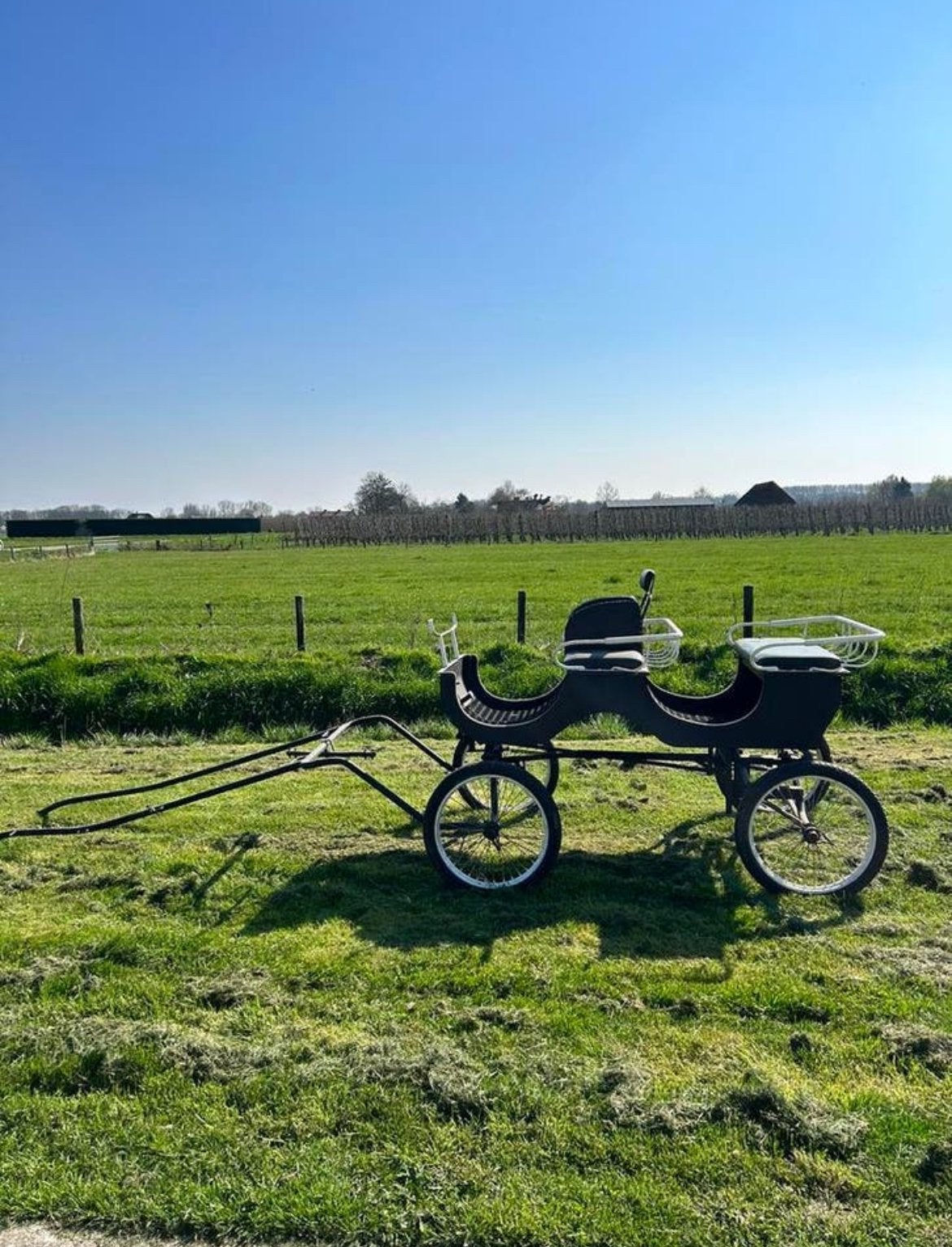 Te koop: pony menwagen, Ophalen, Gebruikt, Overige soorten