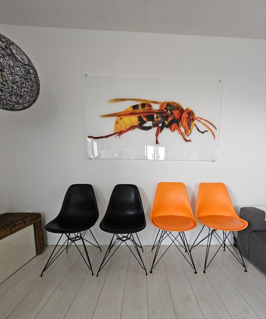 Lookalike Vitra eames dsr stijl stoelen, Huis en Inrichting, Ophalen, Zwart, Vitra dsr, Vier