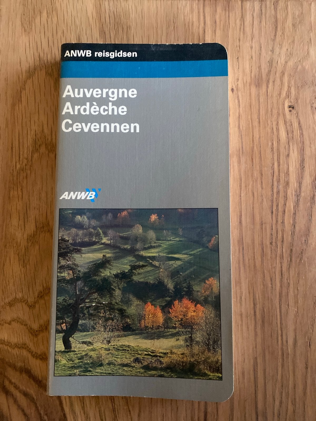 ANWB Reisgids Auvergne Ardèche Cevennen, Boeken, Reisgidsen, Europa, Ophalen of Verzenden, Zo goed als nieuw, Reisgids of -boek