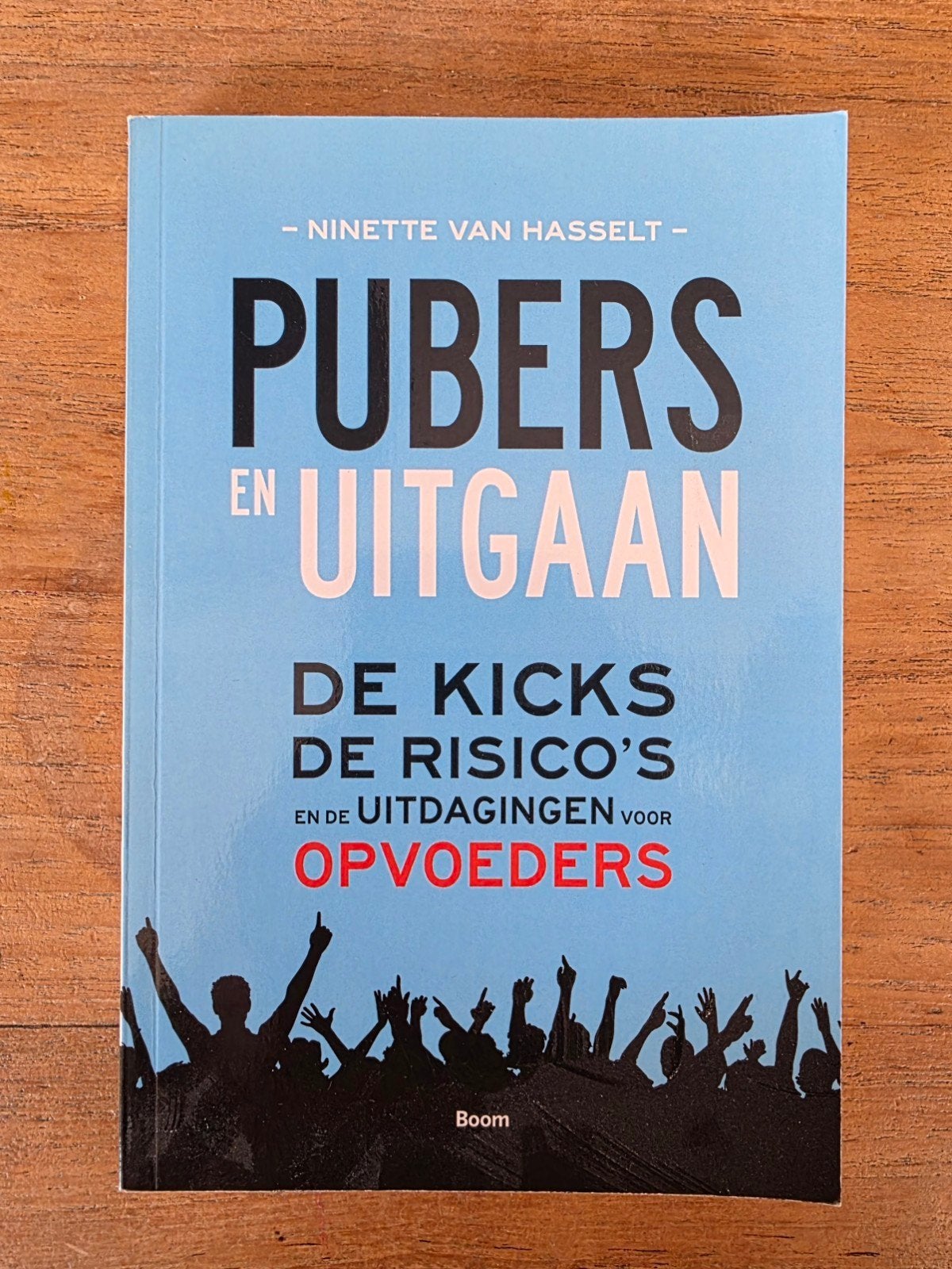 Pubers en uitgaan: De kicks, de risico's en de uitdagingen, Ophalen of Verzenden, Zo goed als nieuw, Opvoeding vanaf 10 jaar, Ninette van Hasselt
