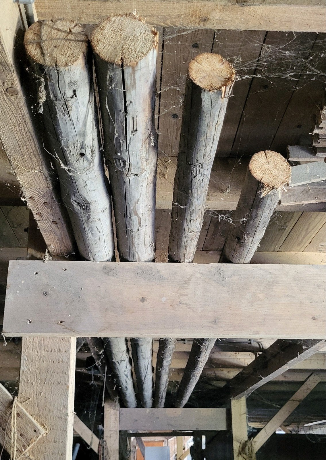 4x ronde houten juffers / rondhouten palen – ca. 7m, Tuin en Terras, Palen, Balken en Planken, Ophalen, 250 cm of meer, Palen
